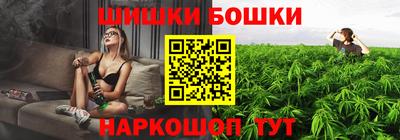 индика Чебаркуль
