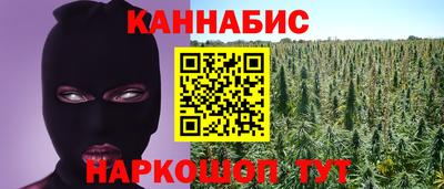 индика Чебаркуль