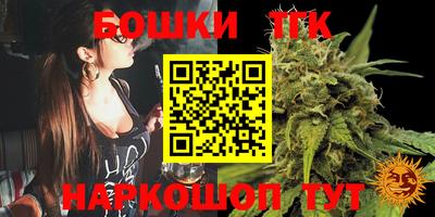 индика Чебаркуль