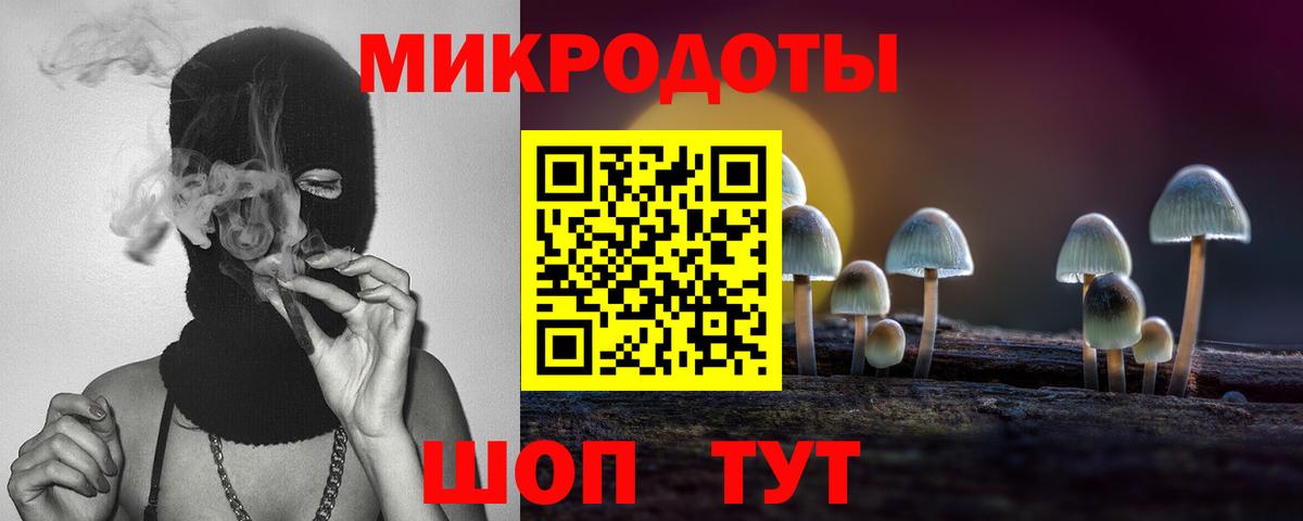 Галлюциногенные грибы Psilocybine cubensis Сосновый Бор
